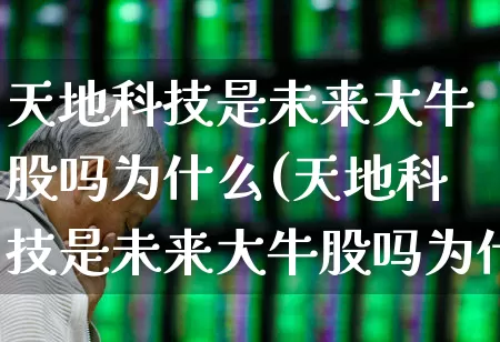 天地科技是未来大牛股吗为什么(天地科技是未来大牛股吗为什么不涨呢)_https://www.haiwangdasha.com_创业板_第1张