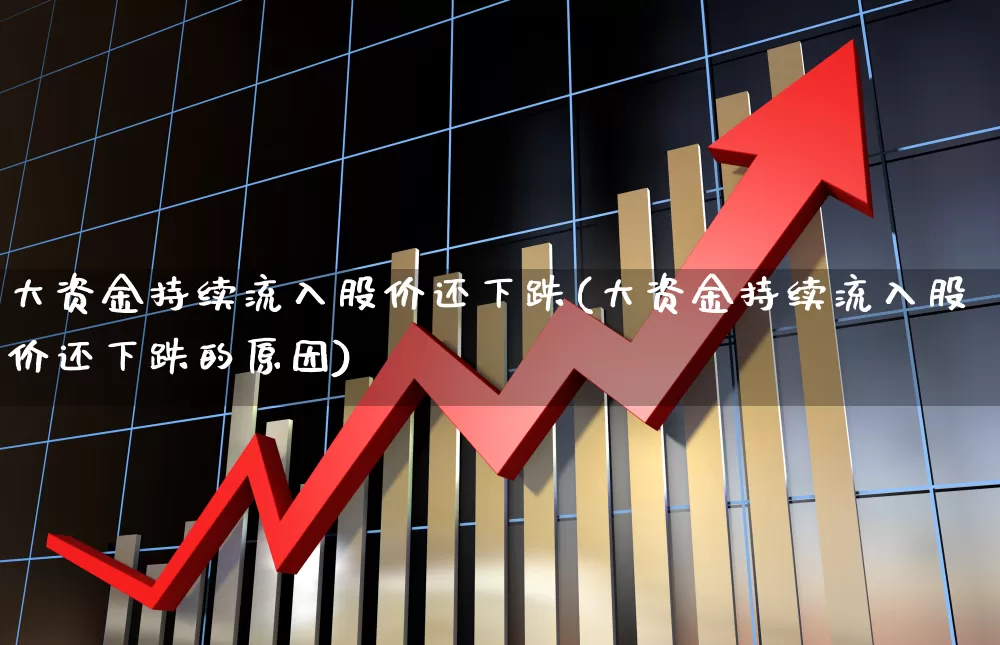 大资金持续流入股价还下跌(大资金持续流入股价还下跌的原因)_https://www.haiwangdasha.com_北交所_第1张