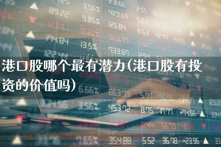 港口股哪个最有潜力(港口股有投资的价值吗)_https://www.haiwangdasha.com_科创板_第1张