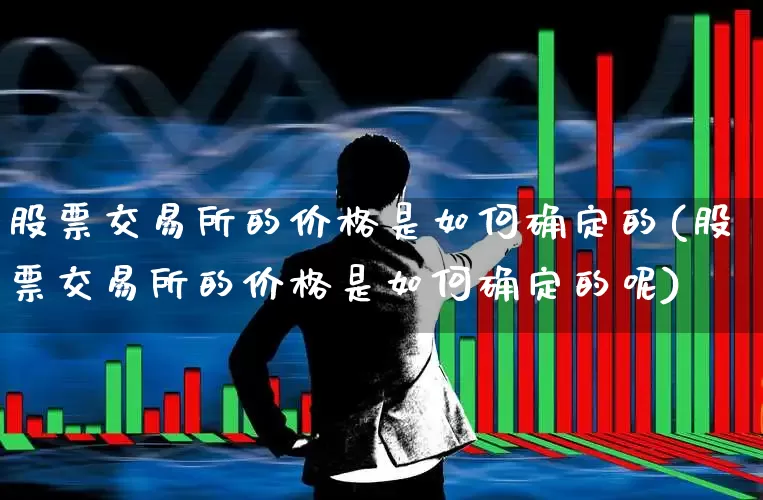 股票交易所的价格是如何确定的(股票交易所的价格是如何确定的呢)_https://www.haiwangdasha.com_北交所_第1张
