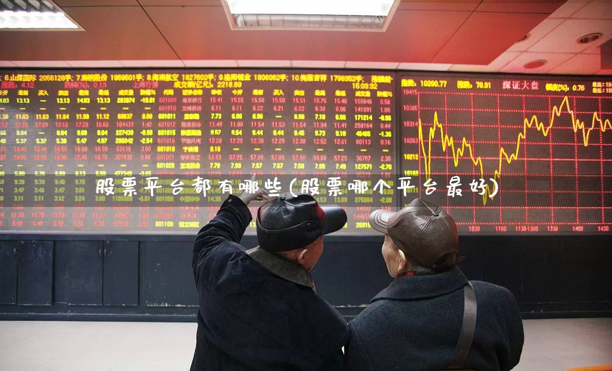 股票平台都有哪些(股票哪个平台最好)_https://www.haiwangdasha.com_深交所_第1张