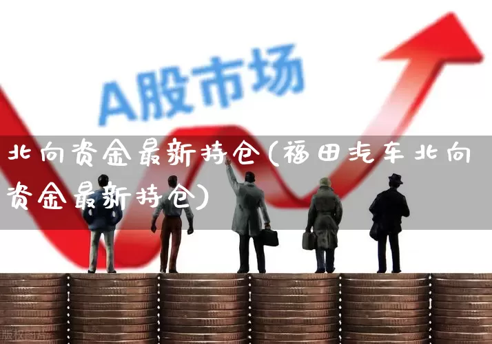 北向资金最新持仓(福田汽车北向资金最新持仓)_https://www.haiwangdasha.com_深交所_第1张