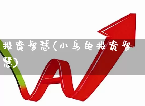 投资智慧(小乌龟投资智慧)_https://www.haiwangdasha.com_上交所_第1张