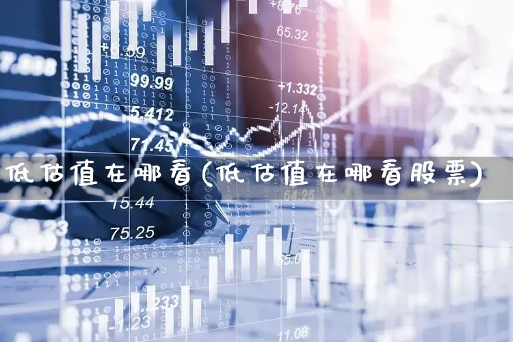 低估值在哪看(低估值在哪看股票)_https://www.haiwangdasha.com_科创板_第1张