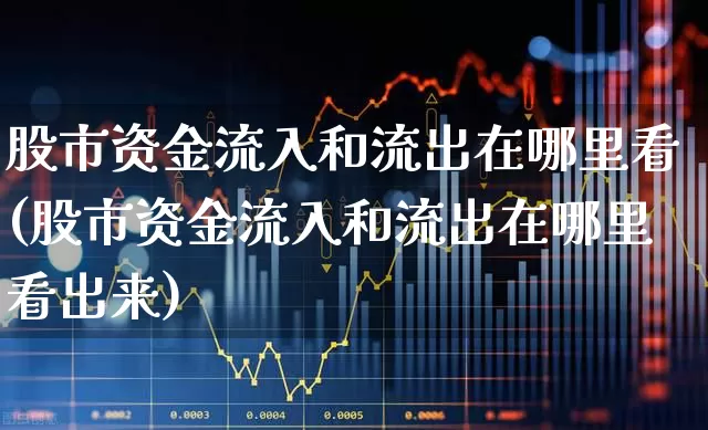 股市资金流入和流出在哪里看(股市资金流入和流出在哪里看出来)_https://www.haiwangdasha.com_创业板_第1张