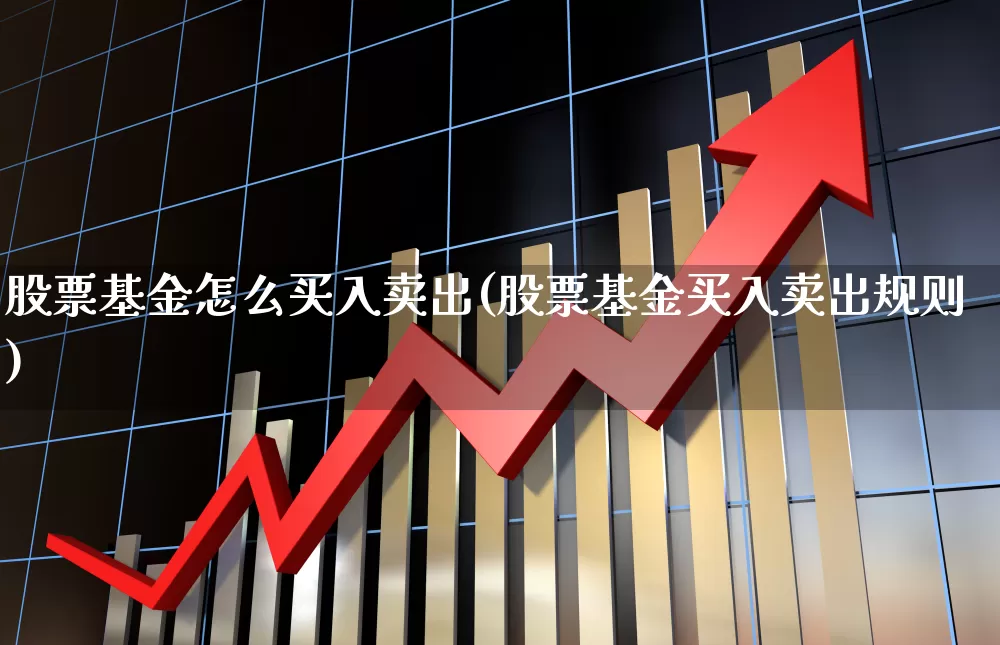股票基金怎么买入卖出(股票基金买入卖出规则)_https://www.haiwangdasha.com_创业板_第1张