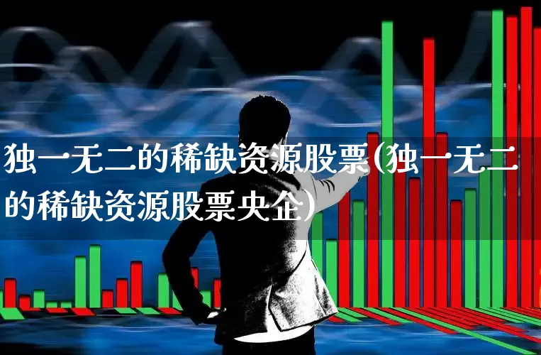 独一无二的稀缺资源股票(独一无二的稀缺资源股票央企)_https://www.haiwangdasha.com_创业板_第1张
