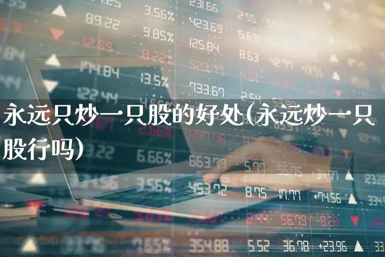 永远只炒一只股的好处(永远炒一只股行吗)_https://www.haiwangdasha.com_科创板_第1张