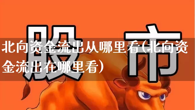 北向资金流出从哪里看(北向资金流出在哪里看)_https://www.haiwangdasha.com_科创板_第1张