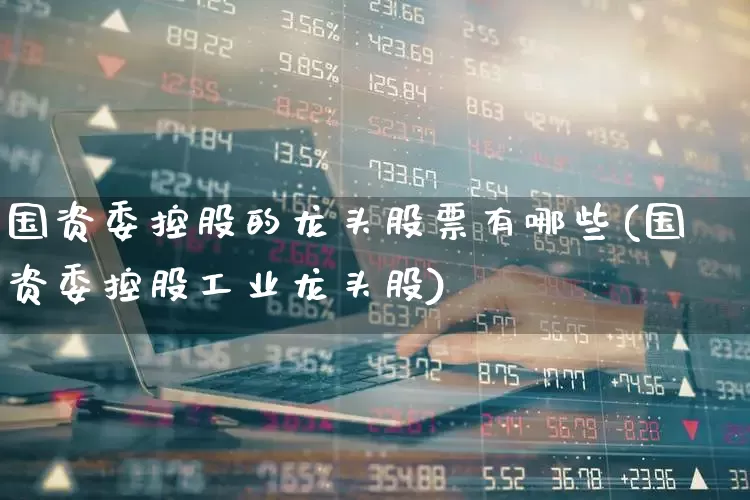 国资委控股的龙头股票有哪些(国资委控股工业龙头股)_https://www.haiwangdasha.com_北交所_第1张