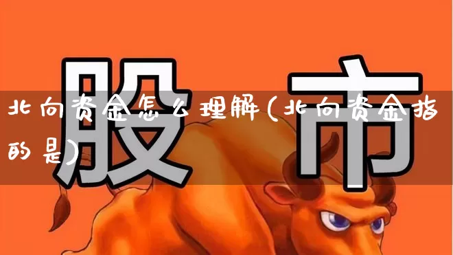 北向资金怎么理解(北向资金指的是)_https://www.haiwangdasha.com_上交所_第1张
