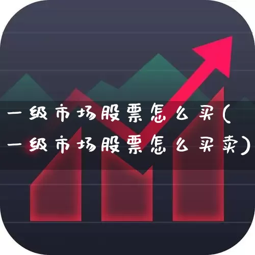 一级市场股票怎么买(一级市场股票怎么买卖)_https://www.haiwangdasha.com_科创板_第1张