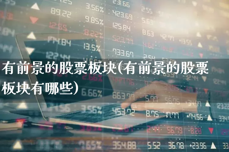 有前景的股票板块(有前景的股票板块有哪些)_https://www.haiwangdasha.com_北交所_第1张