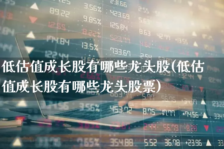 低估值成长股有哪些龙头股(低估值成长股有哪些龙头股票)_https://www.haiwangdasha.com_创业板_第1张