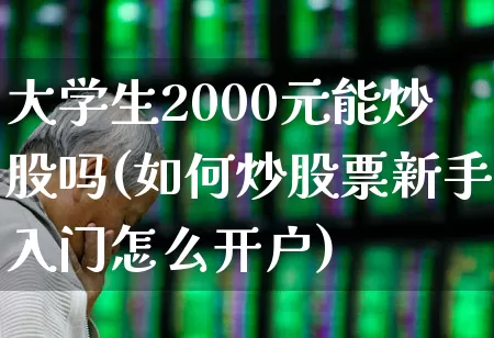大学生2000元能炒股吗(如何炒股票新手入门怎么开户)_https://www.haiwangdasha.com_上交所_第1张