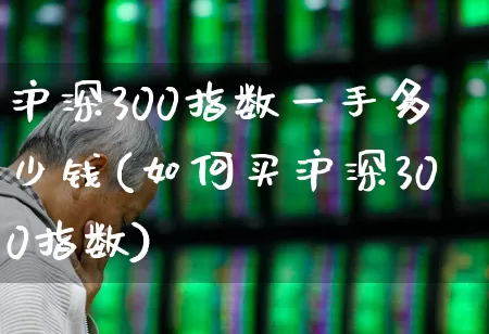 沪深300指数一手多少钱(如何买沪深300指数)_https://www.haiwangdasha.com_深交所_第1张