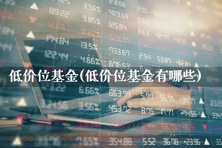低价位基金(低价位基金有哪些)_https://www.haiwangdasha.com_创业板_第1张