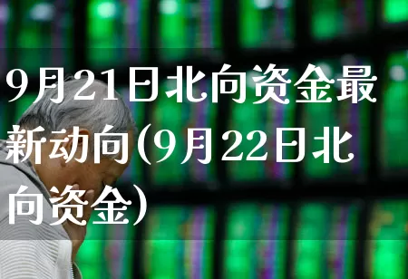 9月21日北向资金最新动向(9月22日北向资金)_https://www.haiwangdasha.com_上交所_第1张