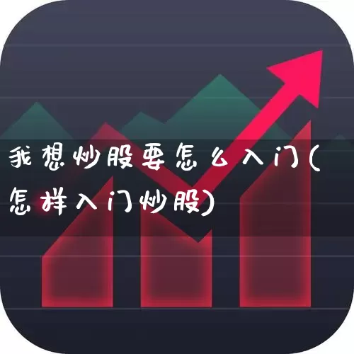 我想炒股要怎么入门(怎样入门炒股)_https://www.haiwangdasha.com_深交所_第1张