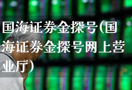 国海证券金探号(国海证券金探号网上营业厅)_https://www.haiwangdasha.com_深交所_第1张