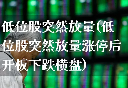 低位股突然放量(低位股突然放量涨停后开板下跌横盘)_https://www.haiwangdasha.com_深交所_第1张