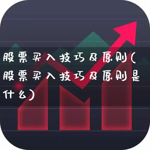 股票买入技巧及原则(股票买入技巧及原则是什么)_https://www.haiwangdasha.com_北交所_第1张