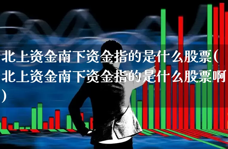 北上资金南下资金指的是什么股票(北上资金南下资金指的是什么股票啊)_https://www.haiwangdasha.com_科创板_第1张