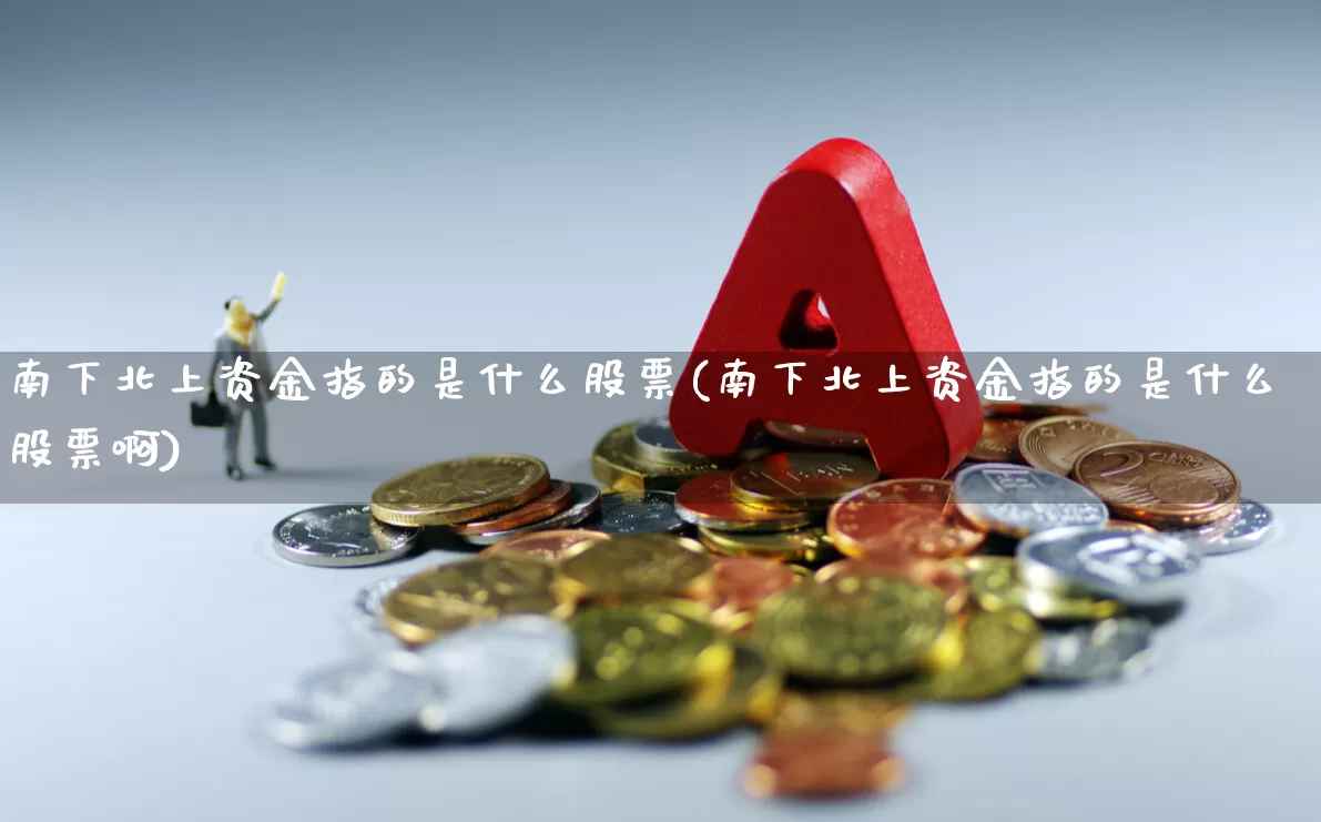 南下北上资金指的是什么股票(南下北上资金指的是什么股票啊)_https://www.haiwangdasha.com_北交所_第1张
