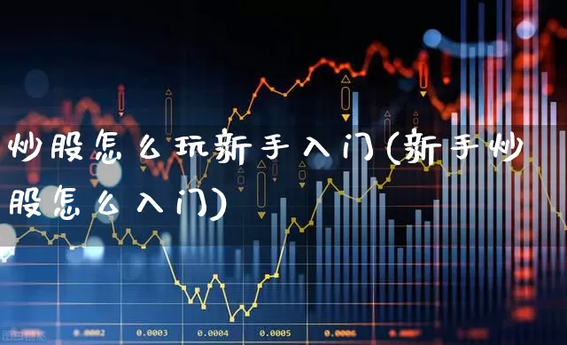 炒股怎么玩新手入门(新手炒股怎么入门)_https://www.haiwangdasha.com_科创板_第1张