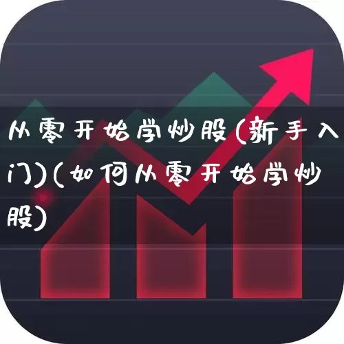 从零开始学炒股(新手入门)(如何从零开始学炒股)_https://www.haiwangdasha.com_北交所_第1张