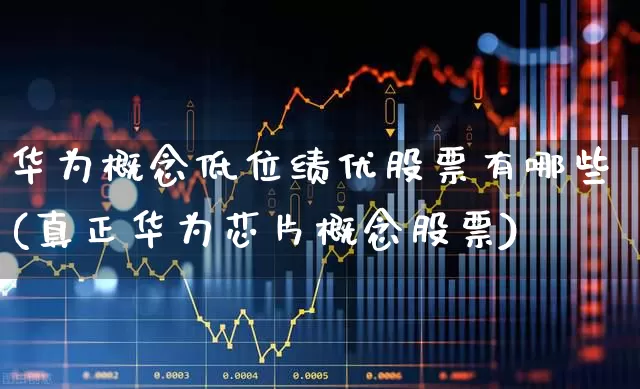 华为概念低位绩优股票有哪些(真正华为芯片概念股票)_https://www.haiwangdasha.com_科创板_第1张