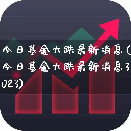 今日基金大跌最新消息(今日基金大跌最新消息3023)_https://www.haiwangdasha.com_上交所_第1张