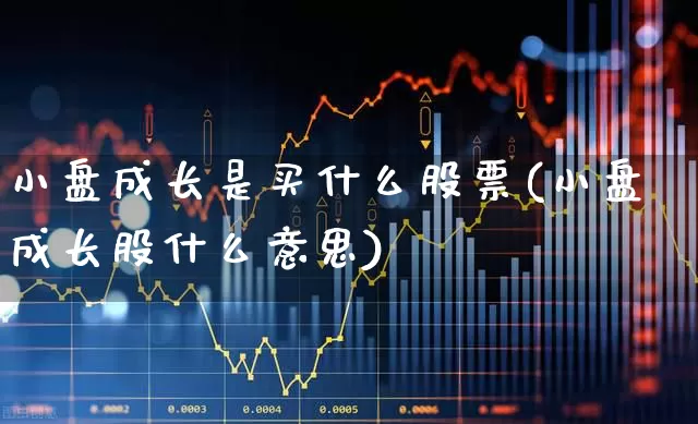 小盘成长是买什么股票(小盘成长股什么意思)_https://www.haiwangdasha.com_深交所_第1张
