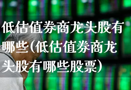 低估值券商龙头股有哪些(低估值券商龙头股有哪些股票)_https://www.haiwangdasha.com_科创板_第1张