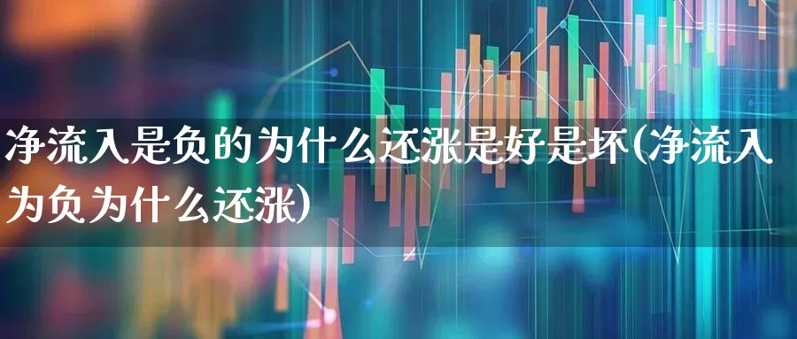 净流入是负的为什么还涨是好是坏(净流入为负为什么还涨)_https://www.haiwangdasha.com_北交所_第1张