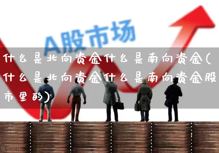 什么是北向资金什么是南向资金(什么是北向资金什么是南向资金股市里的)_https://www.haiwangdasha.com_上交所_第1张