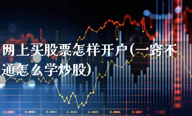 网上买股票怎样开户(一窍不通怎么学炒股)_https://www.haiwangdasha.com_上交所_第1张