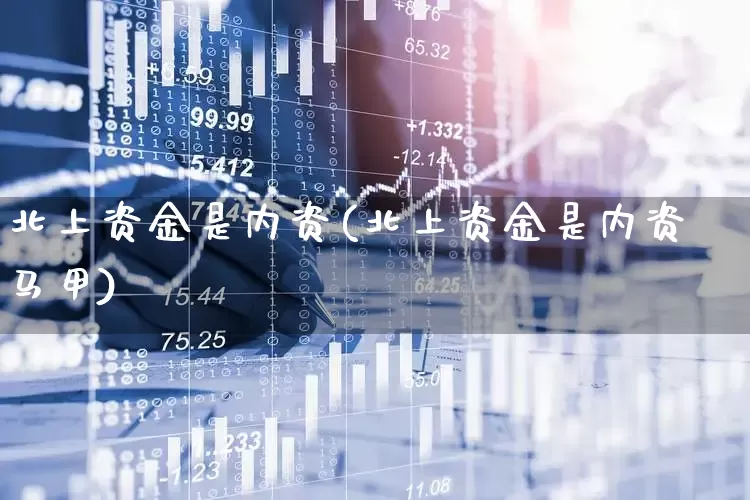 北上资金是内资(北上资金是内资马甲)_https://www.haiwangdasha.com_科创板_第1张