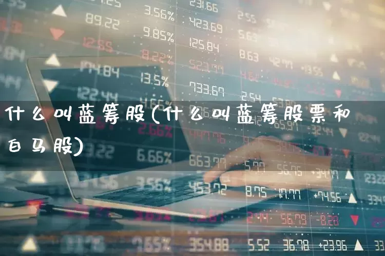 什么叫蓝筹股(什么叫蓝筹股票和白马股)_https://www.haiwangdasha.com_创业板_第1张