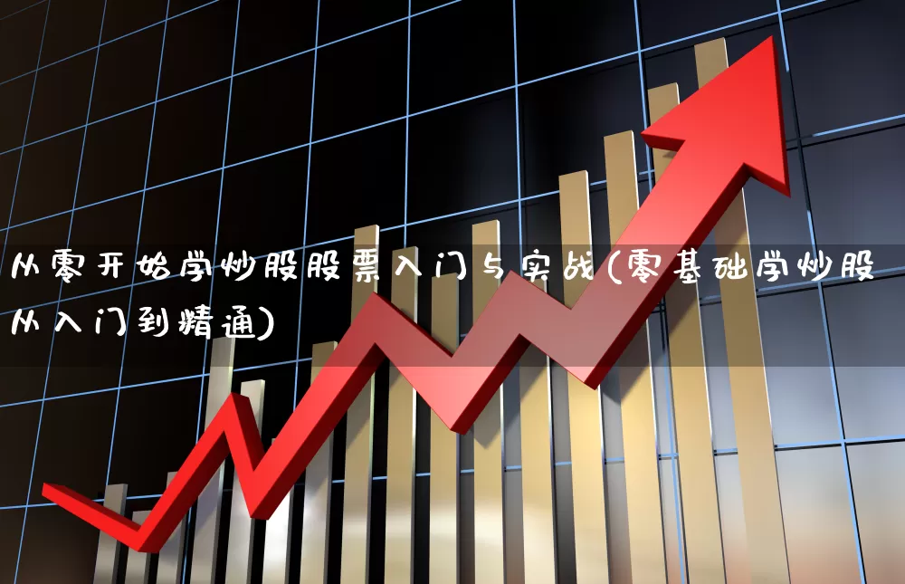 从零开始学炒股股票入门与实战(零基础学炒股从入门到精通)_https://www.haiwangdasha.com_科创板_第1张