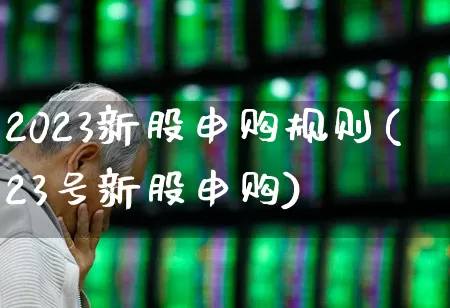 2023新股申购规则(23号新股申购)_https://www.haiwangdasha.com_科创板_第1张