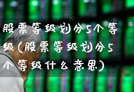 股票等级划分5个等级(股票等级划分5个等级什么意思)_https://www.haiwangdasha.com_科创板_第1张