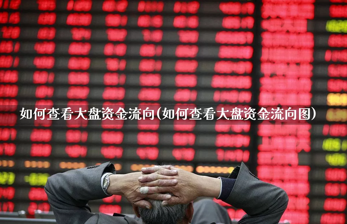 如何查看大盘资金流向(如何查看大盘资金流向图)_https://www.haiwangdasha.com_北交所_第1张