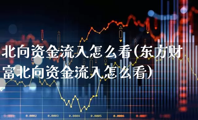 北向资金流入怎么看(东方财富北向资金流入怎么看)_https://www.haiwangdasha.com_郑商所_第1张