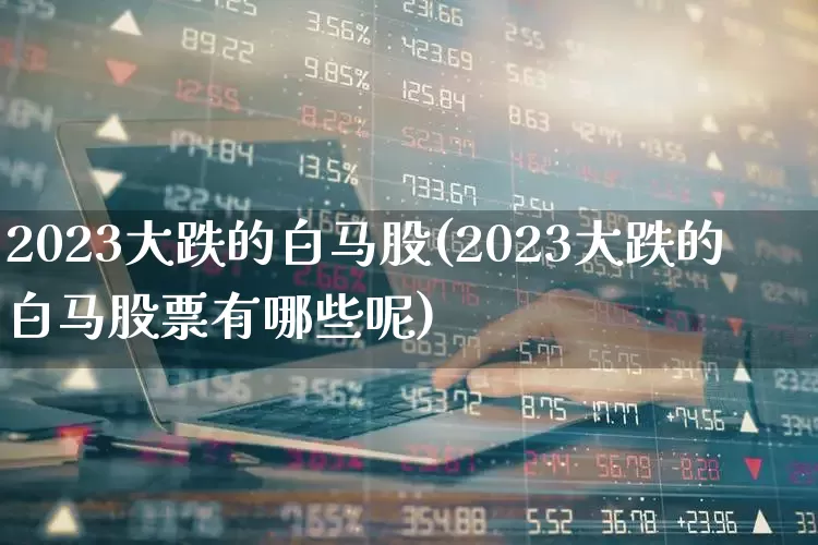 2023大跌的白马股(2023大跌的白马股票有哪些呢)_https://www.haiwangdasha.com_创业板_第1张