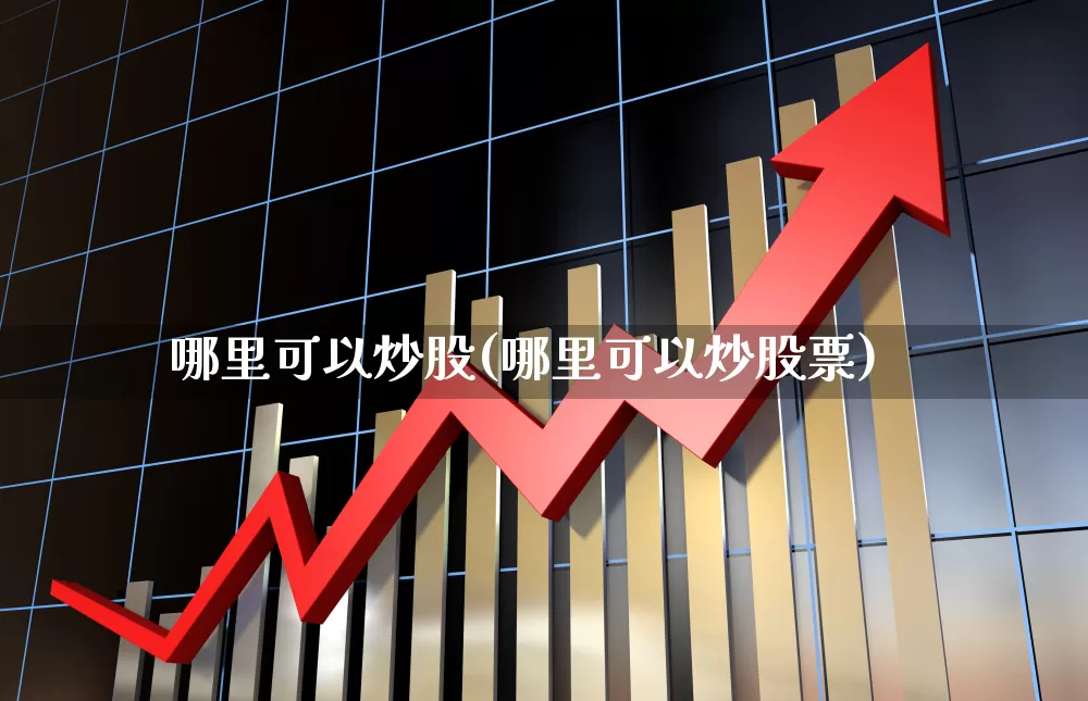 哪里可以炒股(哪里可以炒股票)_https://www.haiwangdasha.com_科创板_第1张