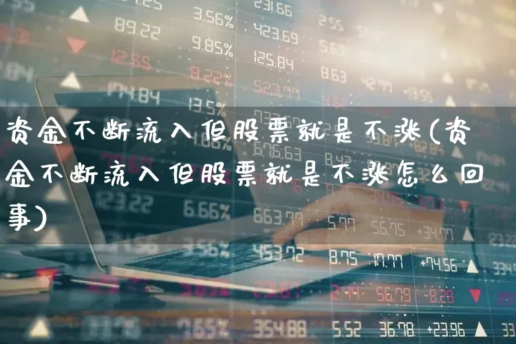 资金不断流入但股票就是不涨(资金不断流入但股票就是不涨怎么回事)_https://www.haiwangdasha.com_科创板_第1张