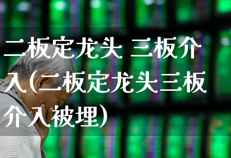 二板定龙头 三板介入(二板定龙头三板介入被埋)_https://www.haiwangdasha.com_深交所_第1张