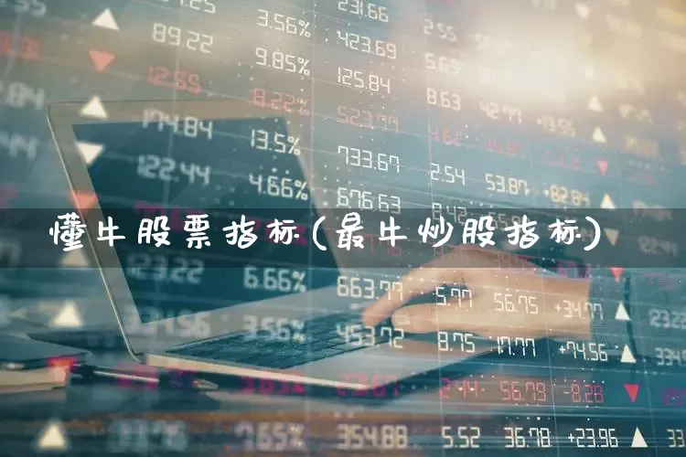 懂牛股票指标(最牛炒股指标)_https://www.haiwangdasha.com_深交所_第1张