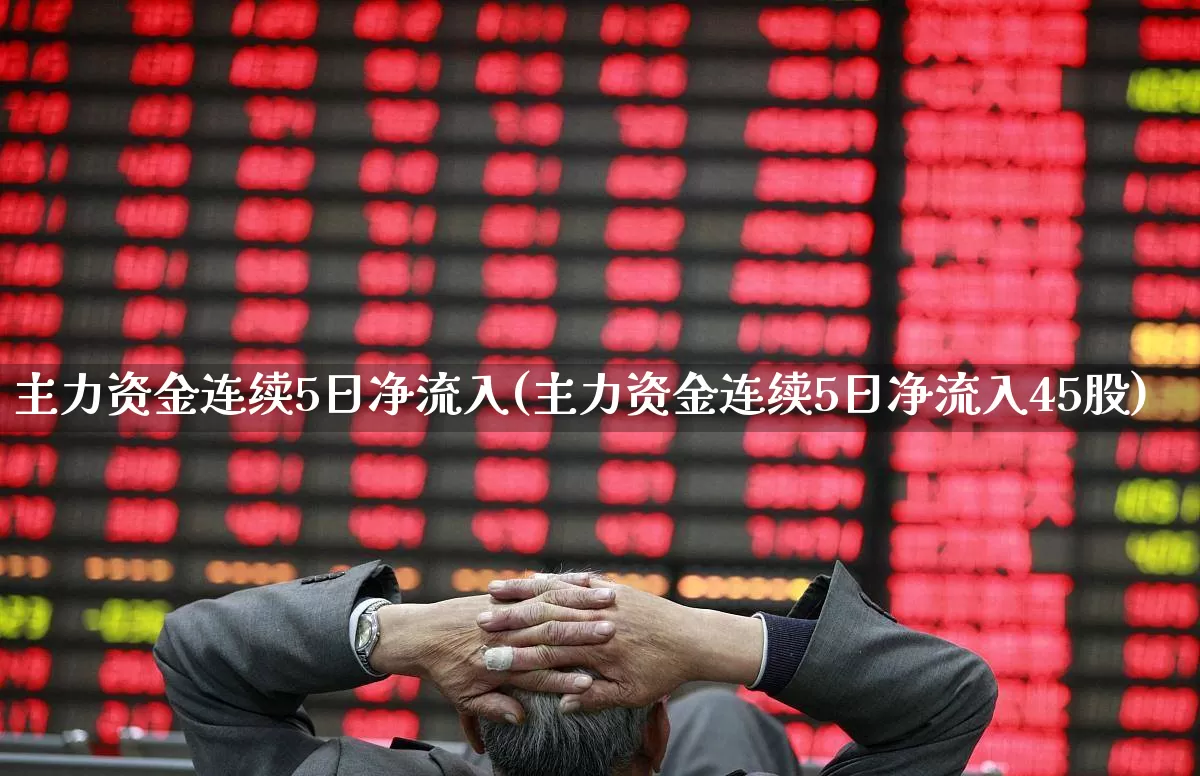 主力资金连续5日净流入(主力资金连续5日净流入45股)_https://www.haiwangdasha.com_科创板_第1张